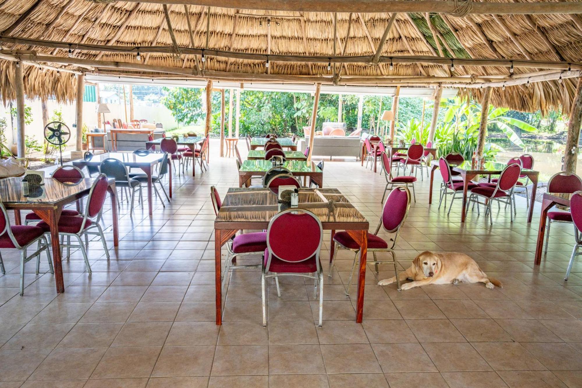 Drift Inn Cayo Santa Elena المظهر الخارجي الصورة
